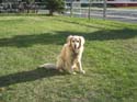 BJ -> May 3, 2004 -> Picture 15