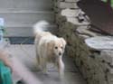 BJ -> May 22, 2004 -> Picture 3