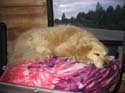 Baynes Lake 2005 -> BJ -> Picture 3
