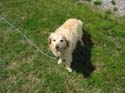 Baynes Lake 2005 -> BJ -> Picture 5