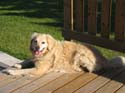 Baynes Lake 2005 -> BJ -> Picture 6