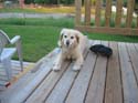 Baynes Lake 2005 -> BJ -> Picture 9