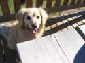 Baynes Lake 2005 -> BJ -> Picture 15