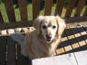Baynes Lake 2005 -> BJ -> Picture 16
