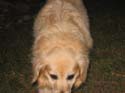 Baynes Lake 2005 -> BJ -> Picture 20