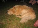 Baynes Lake 2005 -> BJ -> Picture 21