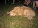 Baynes Lake 2005 -> BJ -> Picture 22