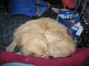 Baynes Lake 2005 -> BJ -> Picture 27