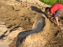 Baynes Lake 2005 -> Sandcastle -> Picture 12