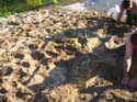 Baynes Lake 2005 -> Sandcastle -> Picture 17