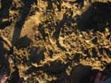 Baynes Lake 2005 -> Sandcastle -> Picture 23