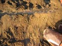 Baynes Lake 2005 -> Sandcastle -> Picture 42
