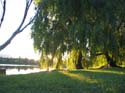 Baynes Lake 2005 -> Scenery -> Picture 8