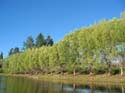 Baynes Lake 2005 -> Scenery -> Picture 38