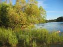 Baynes Lake 2005 -> Scenery -> Picture 41