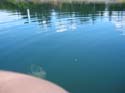 Baynes Lake 2005 -> Scenery -> Picture 64
