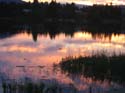 Baynes Lake 2005 -> Scenery -> Picture 74
