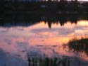 Baynes Lake 2005 -> Scenery -> Picture 77