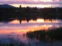 Baynes Lake 2005 -> Scenery -> Picture 82
