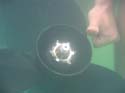 Baynes Lake 2005 -> Underwater -> Picture 10