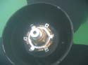 Baynes Lake 2005 -> Underwater -> Picture 11