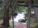 Camping Trips -> July 31 - August 2, 2004 -> Picture 4