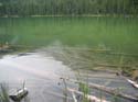 Camping Trips -> July 31 - August 2, 2004 -> Picture 27