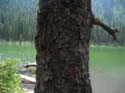 Camping Trips -> July 31 - August 2, 2004 -> Picture 32