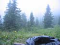 Camping Trips -> July 31 - August 2, 2004 -> Picture 88