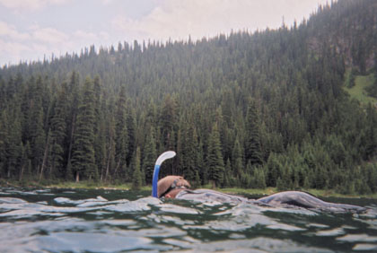 Camping Trips > July 31 - August 2, 2004 > Picture 4
 (Click on image for a larger view)