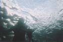 Camping Trips -> July 31 - August 2, 2004 -> Picture 8