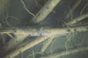 Camping Trips -> July 31 - August 2, 2004 -> Picture 14