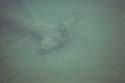 Camping Trips -> July 31 - August 2, 2004 -> Picture 15