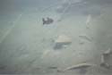Camping Trips -> July 31 - August 2, 2004 -> Picture 16