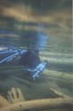 Camping Trips -> July 31 - August 2, 2004 -> Picture 29