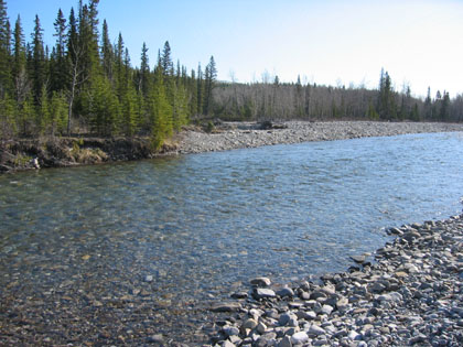 Camping Trips > April 01 2004 > Picture 2
 (Click on image for a larger view)