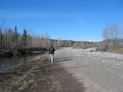 Camping Trips > April 01 2004 > Picture 5
 (Click on image for a larger view)