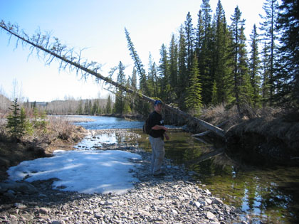 Camping Trips > April 01 2004 > Picture 10
 (Click on image for a larger view)