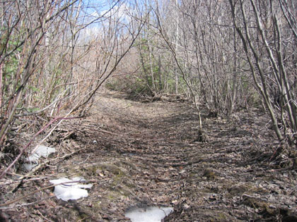 Camping Trips > April 01 2004 > Picture 18
 (Click on image for a larger view)