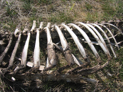 Camping Trips > April 01 2004 > Picture 26
 (Click on image for a larger view)