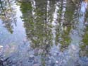 Camping Trips -> April 01 2004 -> Picture 12
