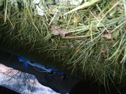 Camping Trips > May Long Weekend, 2003 > Picture 60
 (Click on image for a larger view)