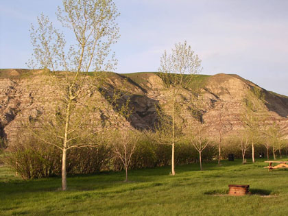 Camping Trips > May Long Weekend, 2003 > Picture 139
 (Click on image for a larger view)