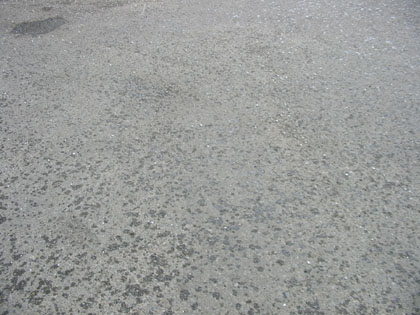 Camping Trips > May Long Weekend, 2003 > Picture 199
 (Click on image for a larger view)