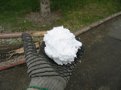 Camping Trips > May Long Weekend, 2003 > Picture 202
 (Click on image for a larger view)