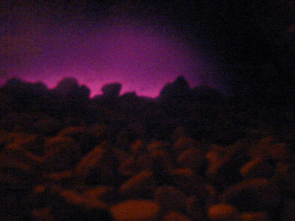 Camping Trips > May Long Weekend, 2003 > Picture 307
 (Click on image for a larger view)