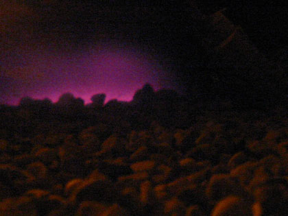 Camping Trips > May Long Weekend, 2003 > Picture 308
 (Click on image for a larger view)