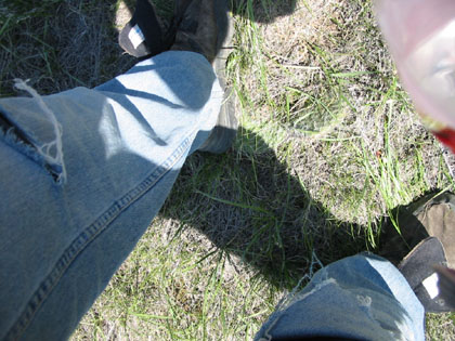 Camping Trips > May Long Weekend, 2003 > Picture 320
 (Click on image for a larger view)