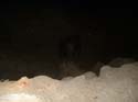 Camping Trips -> May Long Weekend, 2003 -> Picture 17