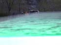 Camping Trips -> May Long Weekend, 2003 -> Picture 148
